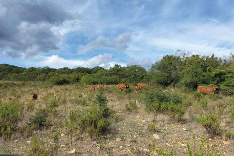 Farm hus i Scansano, Grosseto, Scansano - € 650.000 | Ref: A7631TA2269242A-1072580 - foto 21
