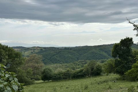 Farm hus i Scansano, Grosseto, Scansano - € 650.000 | Ref: A7631TA2269242A-1072580 - foto 24