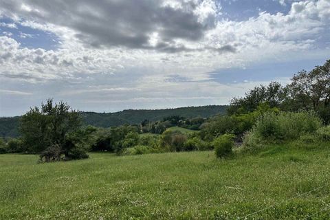 Farm hus i Scansano, Grosseto, Scansano - € 650.000 | Ref: A7631TA2269242A-1072580 - foto 27