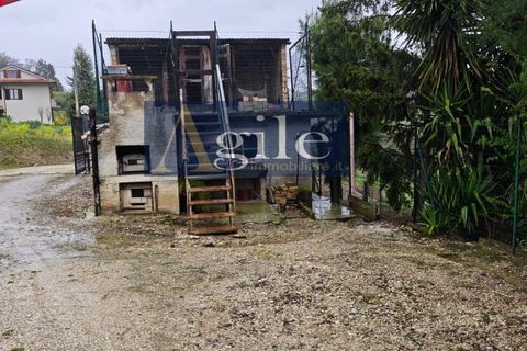 Lejlighed i Offida, Ascoli Piceno, Offida - € 185.000 | Ref: 3471 - foto 12
