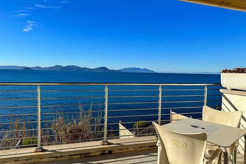 Villa a Piombino, Livorno, Piombino - € 1.800.000 | Ref: A1190CH27270-1072742 - foto 7