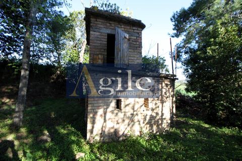 Landejendom i Offida, Ascoli Piceno, Offida - € 190.000 | Ref: 3480 - foto 11