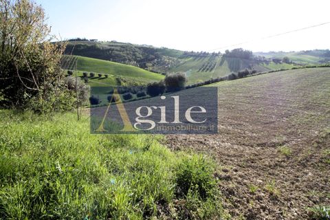 Landejendom i Offida, Ascoli Piceno, Offida - € 190.000 | Ref: 3480 - foto 12