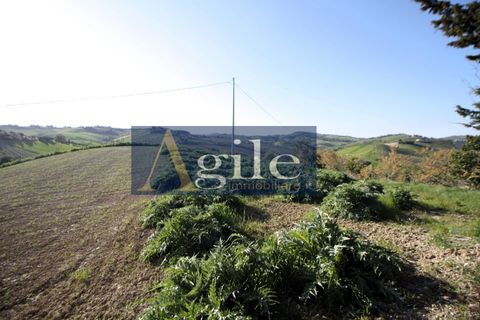 Landejendom i Offida, Ascoli Piceno, Offida - € 190.000 | Ref: 3480 - foto 13