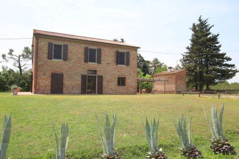 Farm hus i Peccioli, Pisa, Peccioli - € 770.000 | Ref: A1190RC71835-1073230 - foto 4