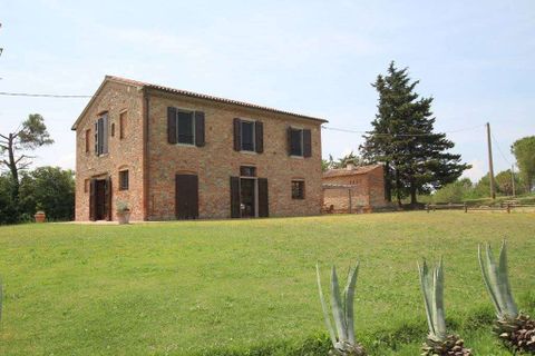 Farm hus i Peccioli, Pisa, Peccioli - € 770.000 | Ref: A1190RC71835-1073230 - foto 13