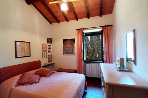 Farm hus i Cetona, Siena, Cetona - € 985.000 | Ref: A5153TA2016564A-1073295 - foto 24