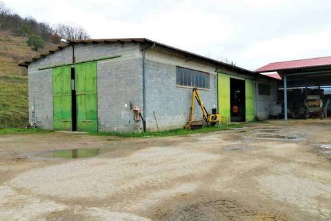 Tomt i Umbertide, Perugia, Umbertide - € 3 300 000 | Ref: A6380TA1899408A-1073462 - foto 4