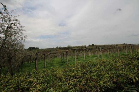 Farm hus i Peccioli, Pisa, Peccioli - € 350.000 | Ref: A1190RC22594-1074211 - foto 2