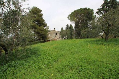 Farm hus i Peccioli, Pisa, Peccioli - € 350.000 | Ref: A1190RC22594-1074211 - foto 3