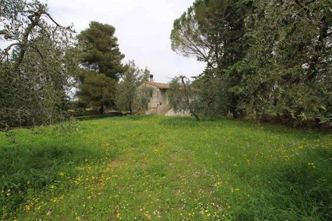 Farm hus i Peccioli, Pisa, Peccioli - € 350.000 | Ref: A1190RC22594-1074211 - foto 4