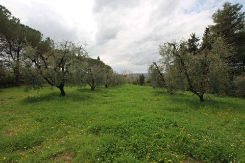 Farm hus i Peccioli, Pisa, Peccioli - € 350.000 | Ref: A1190RC22594-1074211 - foto 5