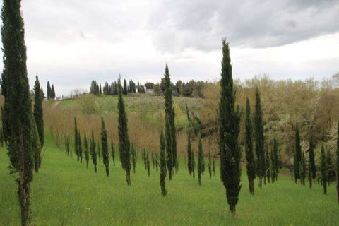 Farm hus i Peccioli, Pisa, Peccioli - € 350.000 | Ref: A1190RC22594-1074211 - foto 6
