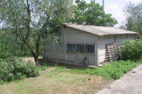 Farm hus i Peccioli, Pisa, Peccioli - € 350.000 | Ref: A1190RC22594-1074211 - foto 8