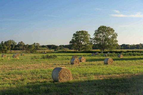 Farm hus i Capalbio, Grosseto, Capalbio - € 1.250.000 | Ref: A7631TA2272340A-1074348 - foto 3