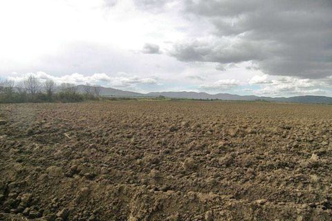 Terra a Grosseto, Grosseto, Grosseto - € 3.600.000 | Ref: A6380TA800359A-1074429 - foto 3