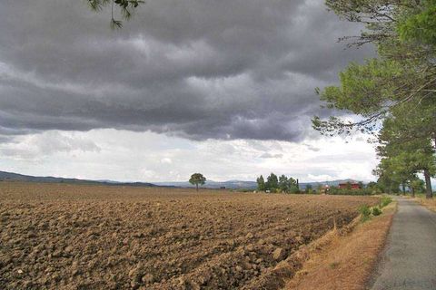 Terra a Grosseto, Grosseto, Grosseto - € 3.600.000 | Ref: A6380TA800359A-1074429 - foto 4