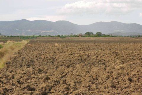 Terra a Grosseto, Grosseto, Grosseto - € 3.600.000 | Ref: A6380TA800359A-1074429 - foto 7