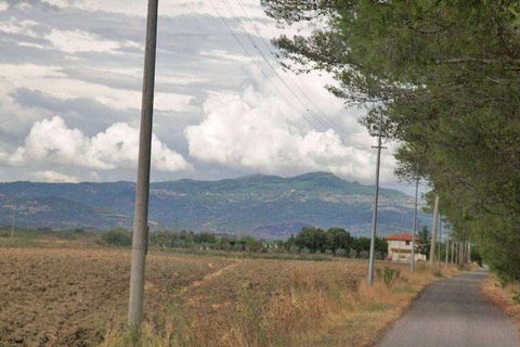 Terra a Grosseto, Grosseto, Grosseto - € 3.600.000 | Ref: A6380TA800359A-1074429 - foto 8