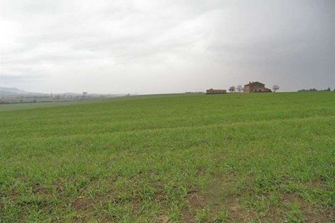 Helårsgrund i Panicale, Perugia, Panicale - € 750.000 | Ref: A6380TA800373A-1074456 - foto 2