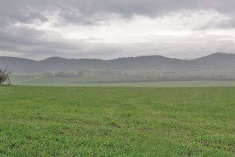 Helårsgrund i Panicale, Perugia, Panicale - € 750.000 | Ref: A6380TA800373A-1074456 - foto 5