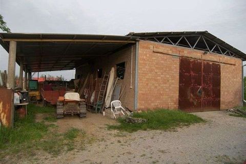 Helårsgrund i Sinalunga, Siena, Sinalunga - € 700.000 | Ref: A6380TA800188A-1074512 - foto 8