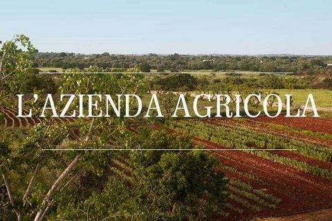 Farm hus i Capalbio, Grosseto, Capalbio - € 1.250.000 | Ref: A7631TA2272241A-1074572 - foto 1