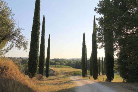 Farm hus i Siena, Siena, Siena - € 1.800.000 | Ref: A6292TA2107470A-1074630 - foto 27