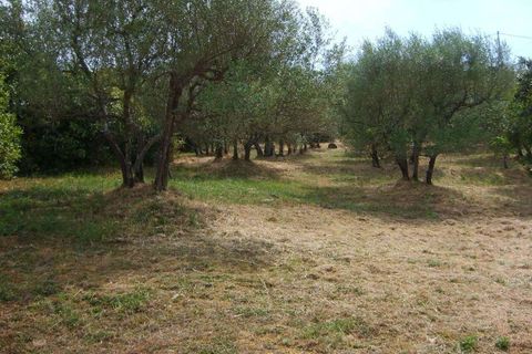 Villa i Lajatico, Pisa, Lajatico - € 625.000 | Ref: A9591KL004-1074699 - foto 12