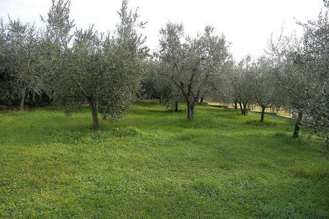 Villa in Sinalunga, Siena, Sinalunga - € 900.000 | Ref: A6380RV1239695A-1074771 - foto 17