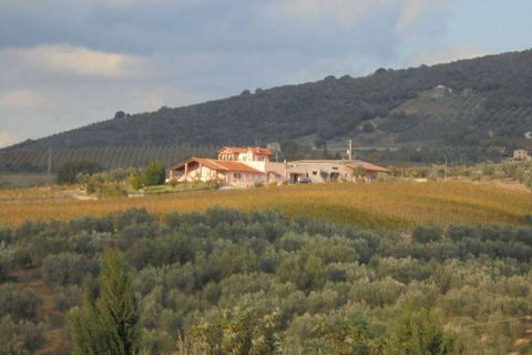 Erhvervsejendom i Montecchio, Terni, Montecchio - € 1.200.000 | Ref: A6380CA1386955A-1074871 - foto 1