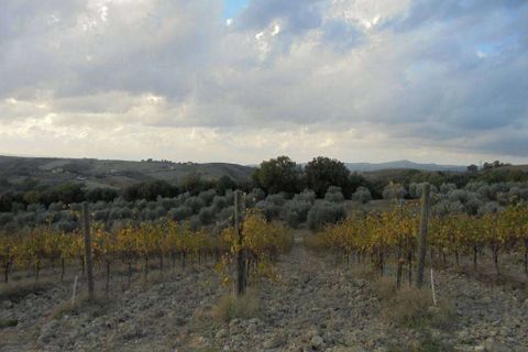 Erhvervsejendom i Montecchio, Terni, Montecchio - € 1.200.000 | Ref: A6380CA1386955A-1074871 - foto 4