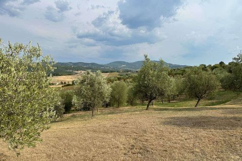Farm hus i Cinigiano, Grosseto, Cinigiano - € 790.000 | Ref: A7631TA2504972A-1074920 - foto 17