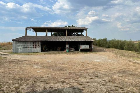 Farm hus i Cinigiano, Grosseto, Cinigiano - € 790.000 | Ref: A7631TA2504972A-1074920 - foto 21