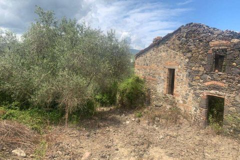 Farm hus i Radicofani, Siena, Radicofani - € 400.000 | Ref: A1190RC39959-1075022 - foto 3