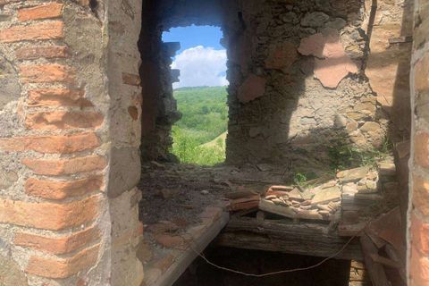 Farm hus i Radicofani, Siena, Radicofani - € 400.000 | Ref: A1190RC39959-1075022 - foto 12