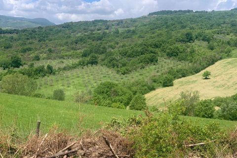 Farm hus i Radicofani, Siena, Radicofani - € 400.000 | Ref: A1190RC39959-1075022 - foto 19