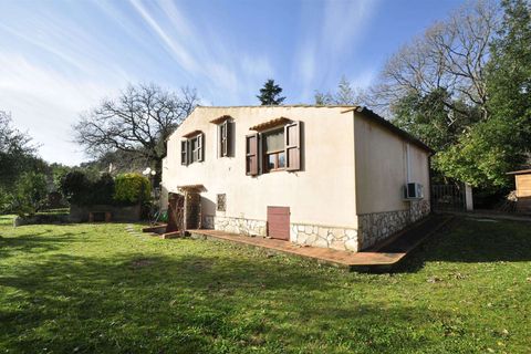 Villa i Suvereto, Livorno, Suvereto - € 290.000 | Ref: A6756RV2536228A-1075066 - foto 3
