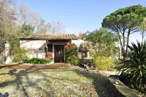 Villa i Suvereto, Livorno, Suvereto - € 290.000 | Ref: A6756RV2536228A-1075066 - foto 17