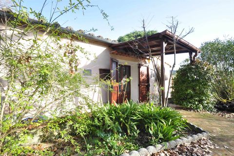 Villa i Suvereto, Livorno, Suvereto - € 290.000 | Ref: A6756RV2536228A-1075066 - foto 18