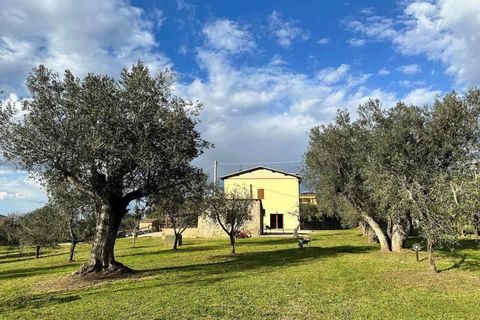Farm hus i Follonica, Grosseto, Follonica - € 2.000.000 | Ref: A7631TA2324219A-1075211 - foto 6