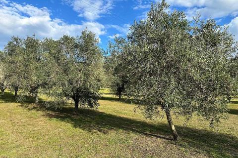 Farm hus i Follonica, Grosseto, Follonica - € 2.000.000 | Ref: A7631TA2324219A-1075211 - foto 23