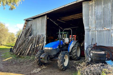 Farm hus i Roccastrada, Grosseto, Roccastrada - € 750.000 | Ref: A7631TA2280624A-1075273 - foto 8