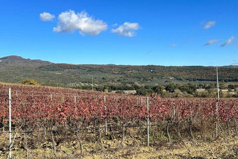 Farm hus i Roccastrada, Grosseto, Roccastrada - € 750.000 | Ref: A7631TA2280624A-1075273 - foto 19