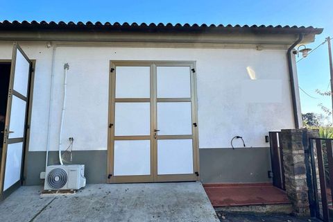 Farm hus i Roccastrada, Grosseto, Roccastrada - € 750.000 | Ref: A7631TA2280624A-1075273 - foto 22