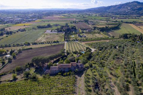 Farm hus i Cortona, Arezzo, Cortona - € 980.000 | Ref: A1190RC12561-1075478 - foto 2