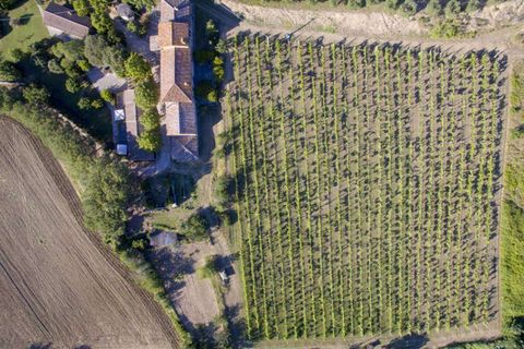 Farm hus i Cortona, Arezzo, Cortona - € 980.000 | Ref: A1190RC12561-1075478 - foto 4
