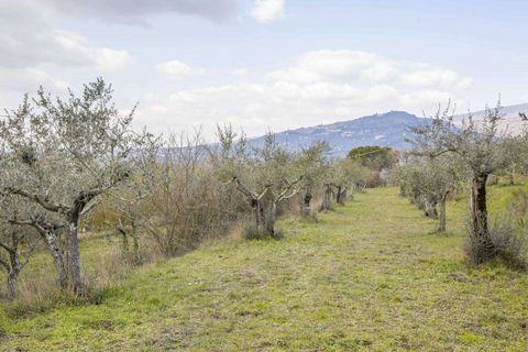 Farm hus i Cortona, Arezzo, Cortona - € 980.000 | Ref: A1190RC12561-1075478 - foto 28