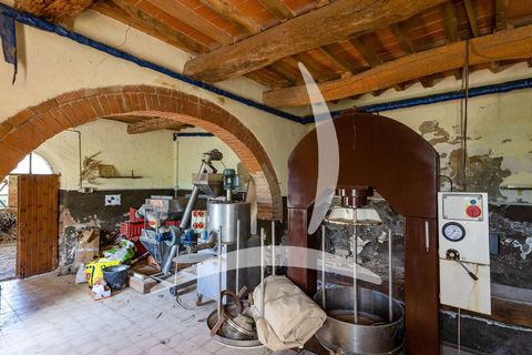 Farm hus i Asciano, Siena, Asciano - € 1.650.000 | Ref: A1190RC55558-1075731 - foto 16