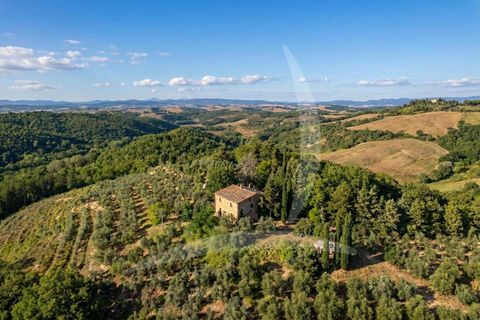 Farm hus i Asciano, Siena, Asciano - € 1.650.000 | Ref: A1190RC55558-1075731 - foto 18